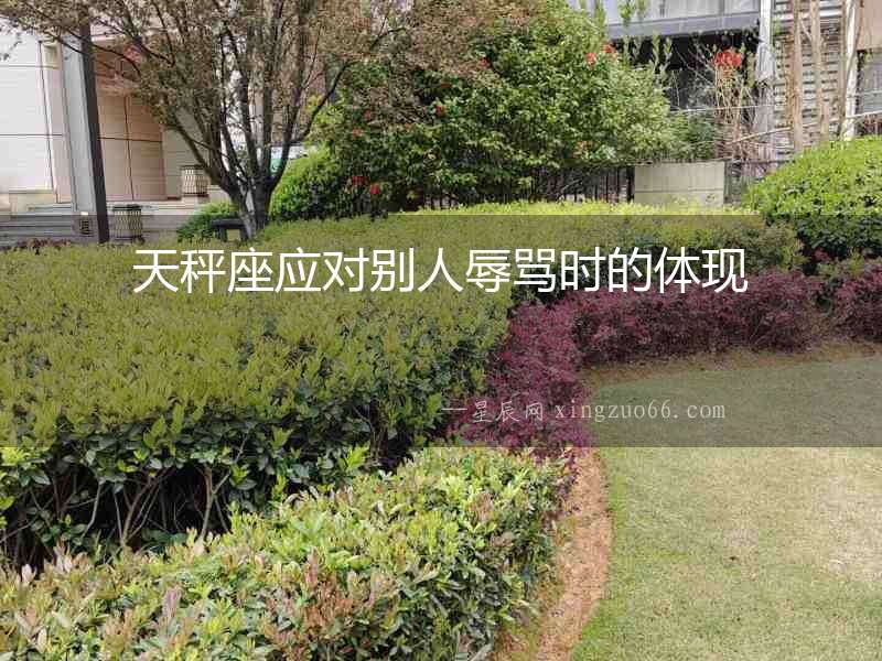 天秤座應對別人辱罵時的體現
