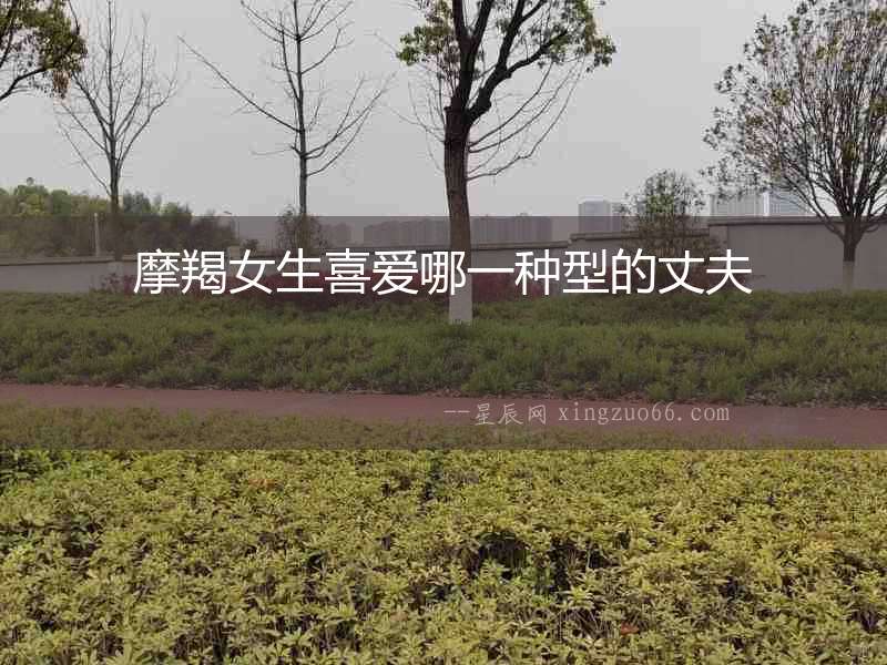 摩羯女生喜愛哪一種型的丈夫
