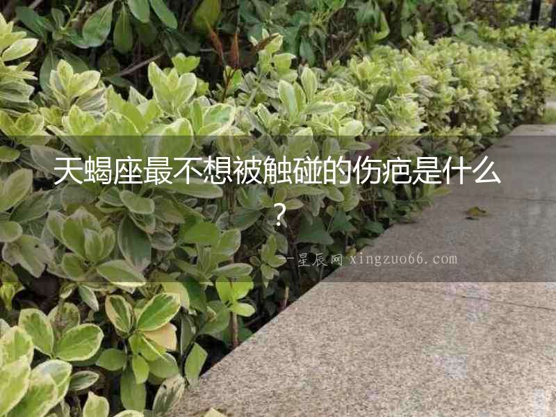 天蝎座最不想被觸碰的傷疤是什么？