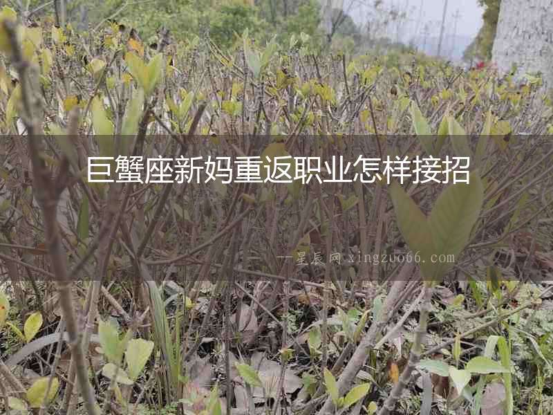 巨蟹座新媽重返職業怎樣接招