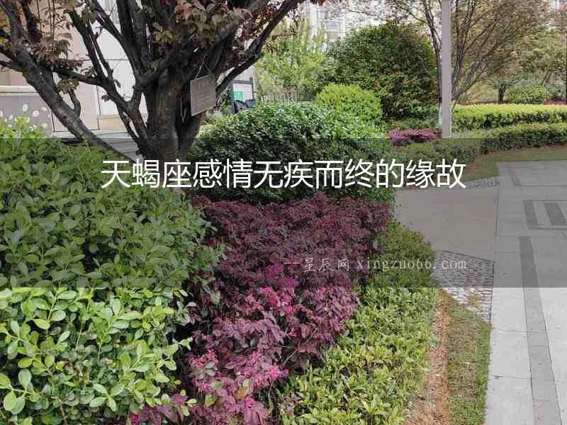 天蝎座感情無疾而終的緣故