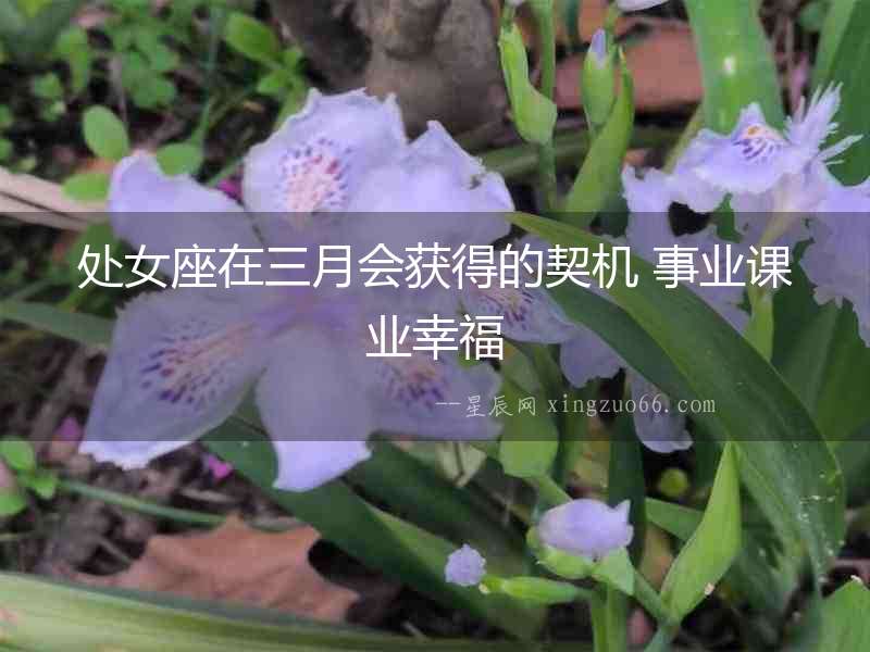 處女座在三月會獲得的契機 事業(yè)課業(yè)幸福