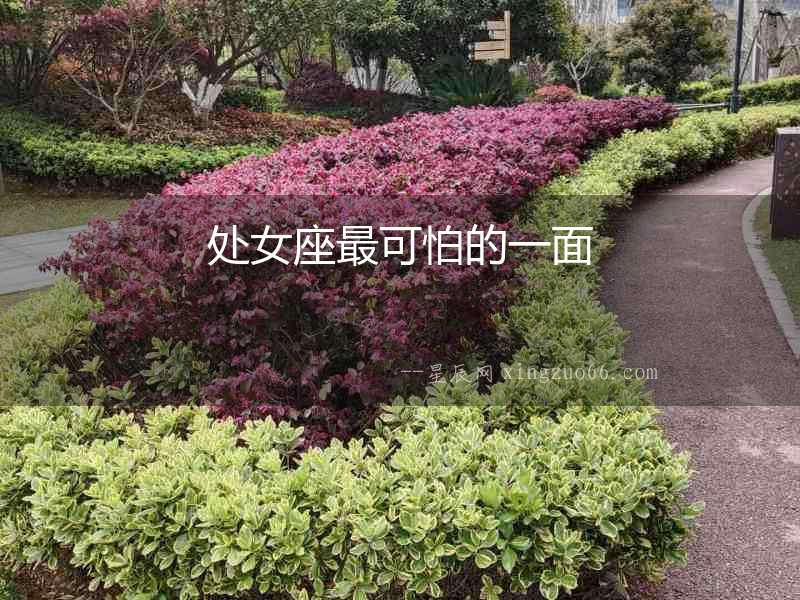 處女座最可怕的一面