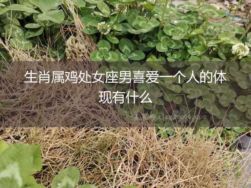 生肖屬雞處女座男喜愛一個人的體現有什么