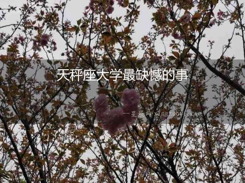 天秤座大學最缺憾的事