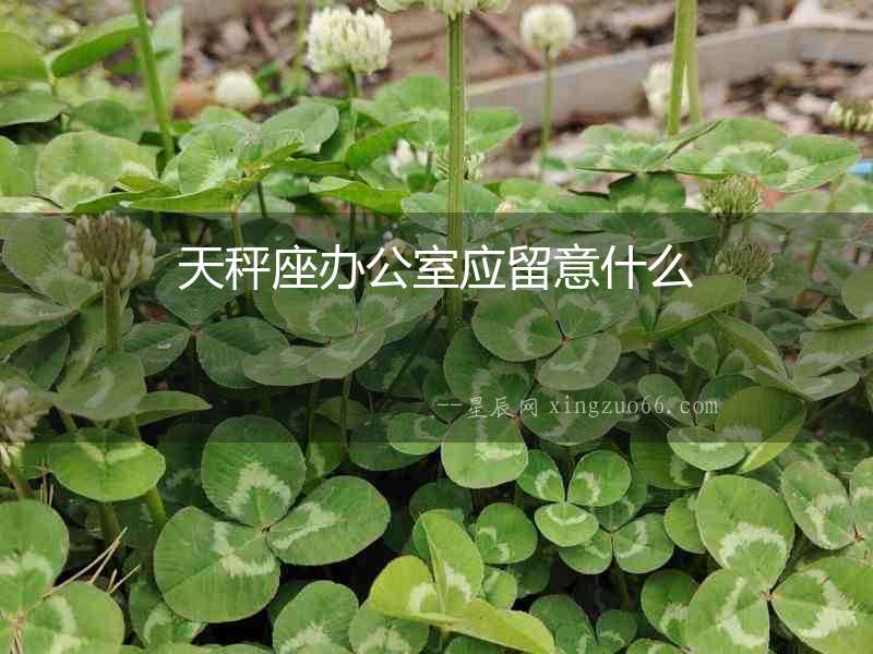 天秤座辦公室應留意什么