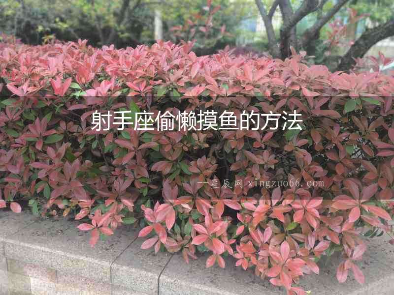 射手座偷懶摸魚的方法