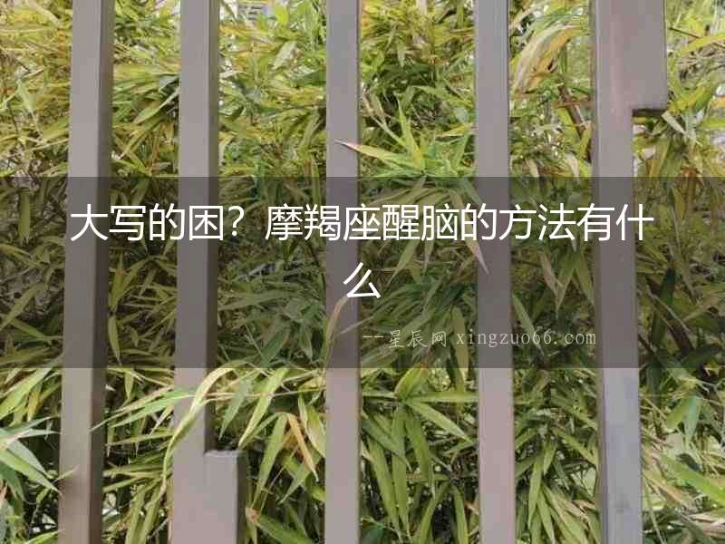 大寫的困？摩羯座醒腦的方法有什么