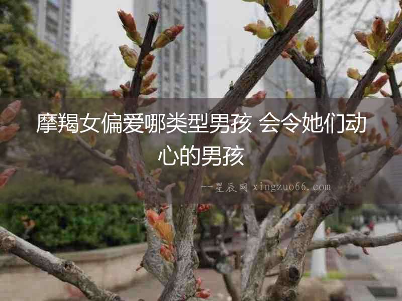 摩羯女偏愛哪類型男孩 會令她們動心的男孩
