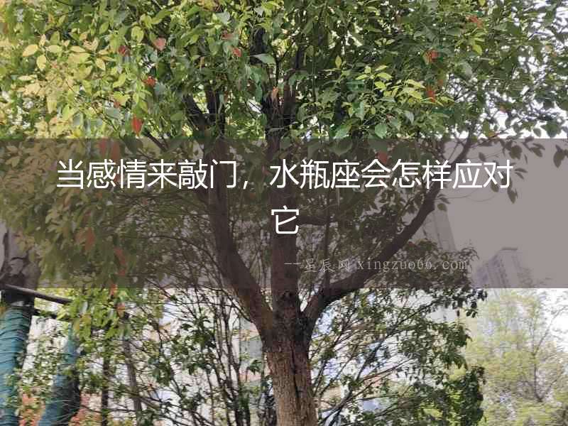 當感情來敲門，水瓶座會怎樣應對它
