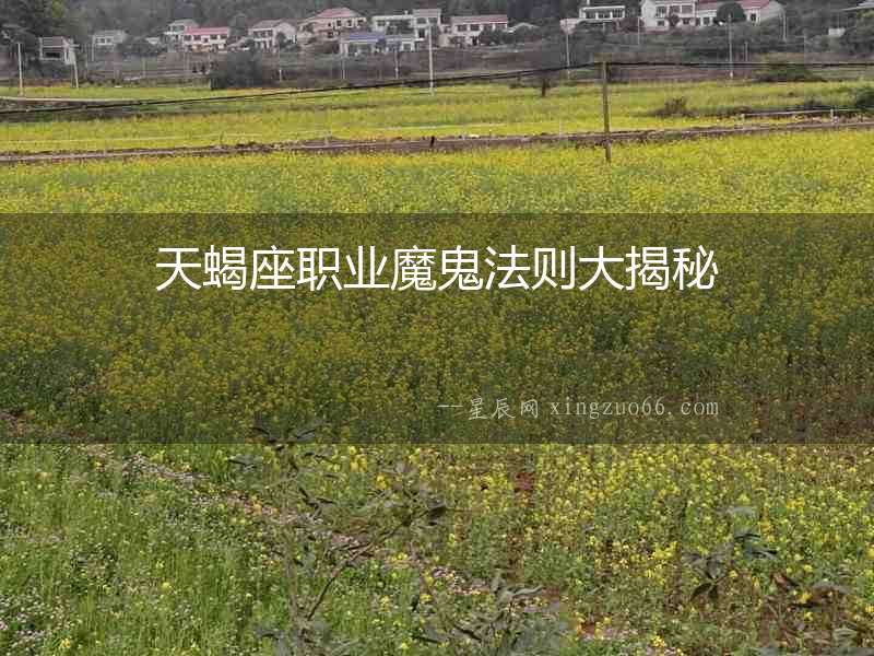 天蝎座職業魔鬼法則大揭秘