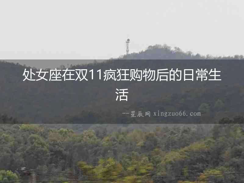處女座在雙11瘋狂購物后的日常生活