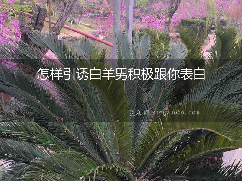 怎樣引誘白羊男積極跟你表白
