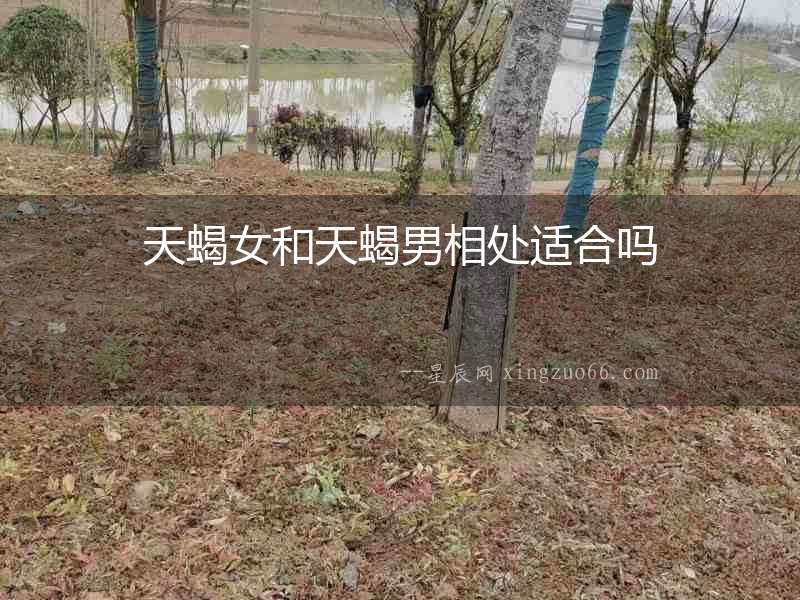 天蝎女和天蝎男相處適合嗎