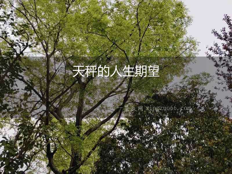 天秤的人生期望