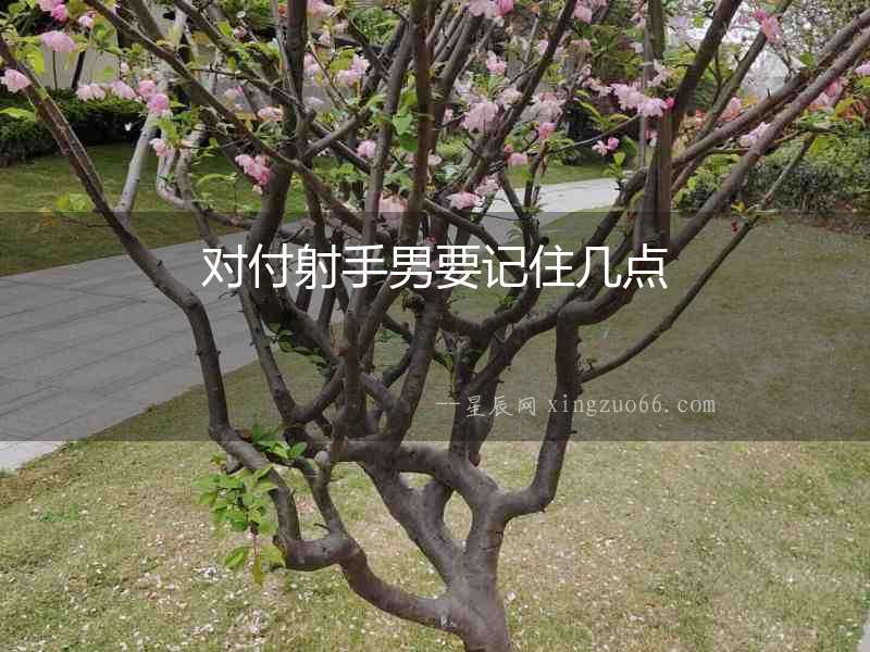 對(duì)付射手男要記住幾點(diǎn)