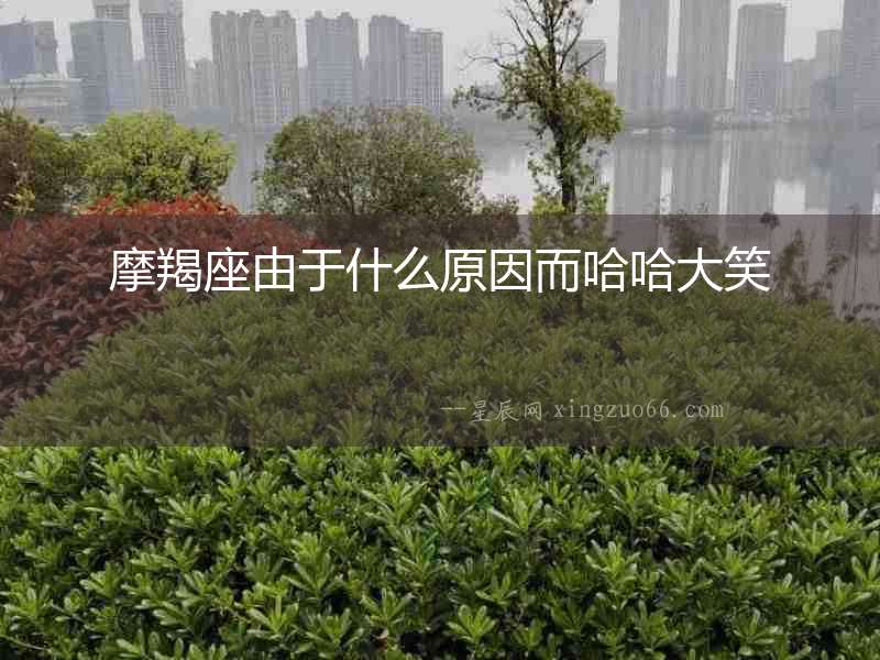 摩羯座由于什么原因而哈哈大笑