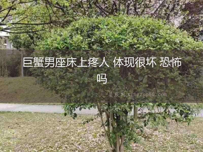 巨蟹男座床上疼人 體現很壞 恐怖嗎