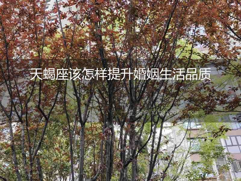 天蝎座該怎樣提升婚姻生活品質