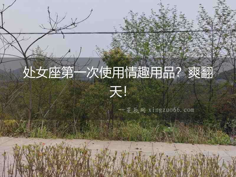 處女座第一次使用情趣用品？爽翻天！