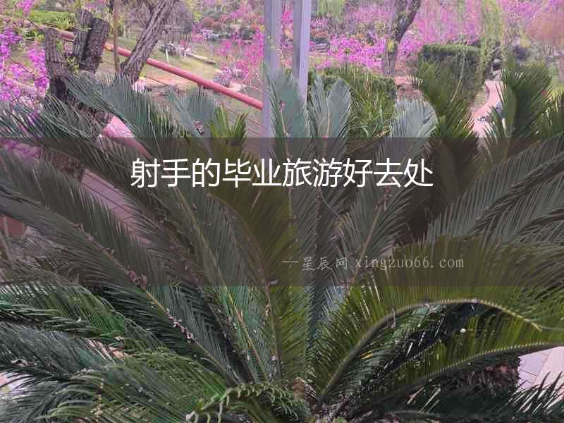 射手的畢業旅游好去處