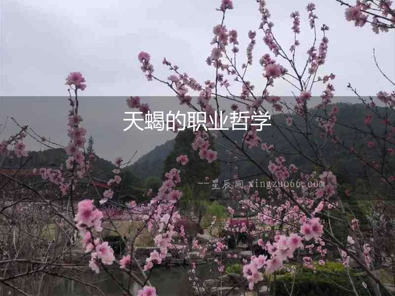 天蝎的職業哲學