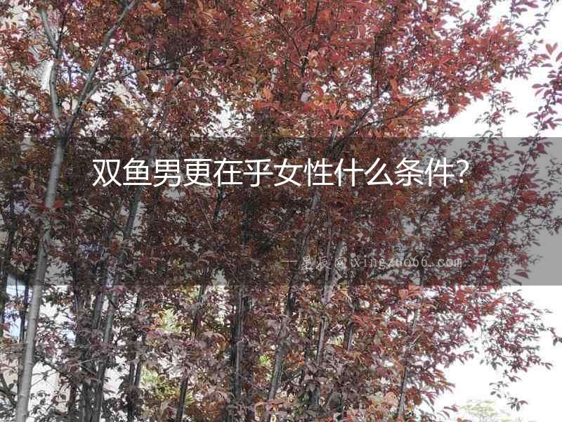 雙魚男更在乎女性什么條件？