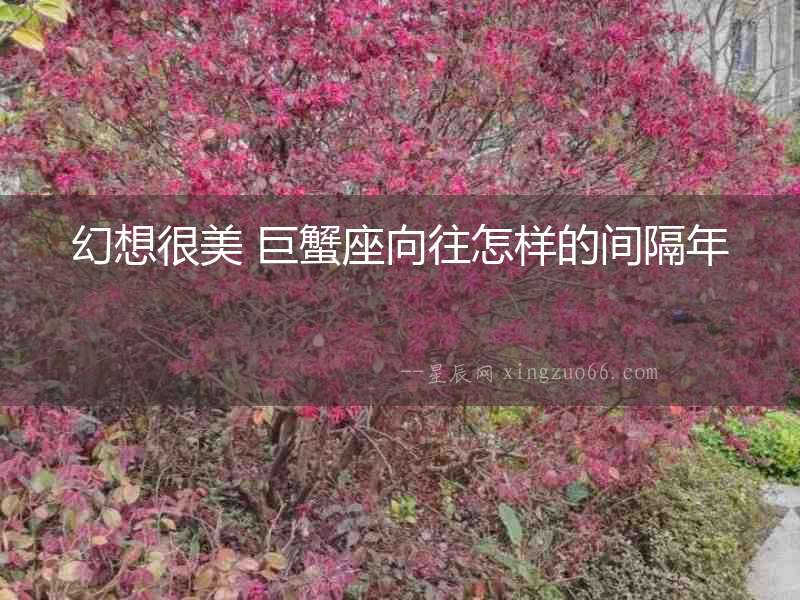 幻想很美 巨蟹座向往怎樣的間隔年