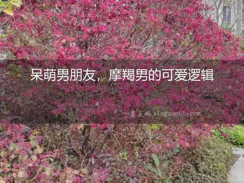 呆萌男朋友，摩羯男的可愛邏輯
