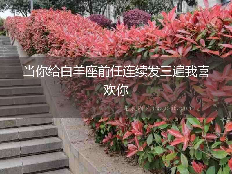 當(dāng)你給白羊座前任連續(xù)發(fā)三遍我喜歡你