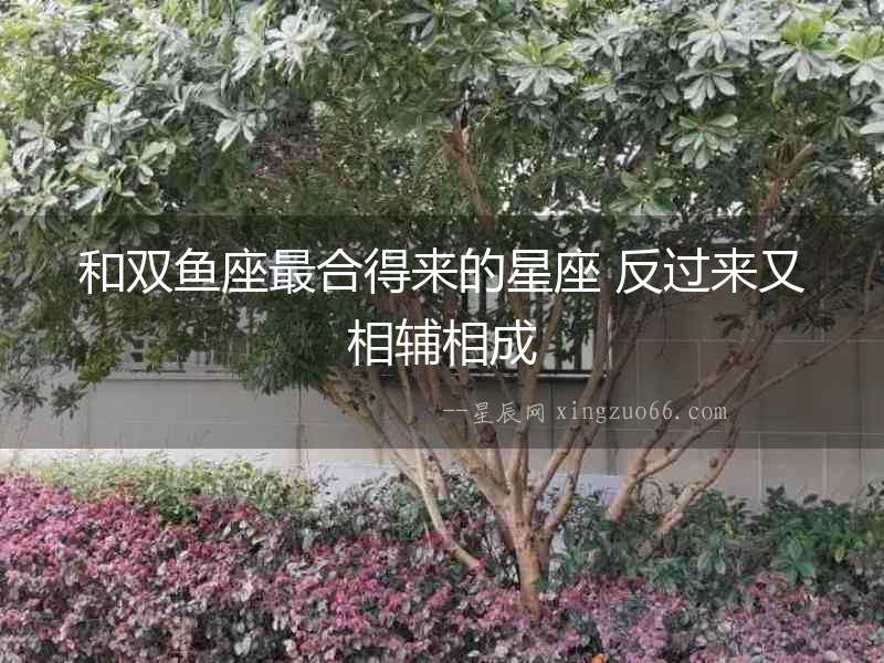 和雙魚座最合得來的星座 反過來又相輔相成