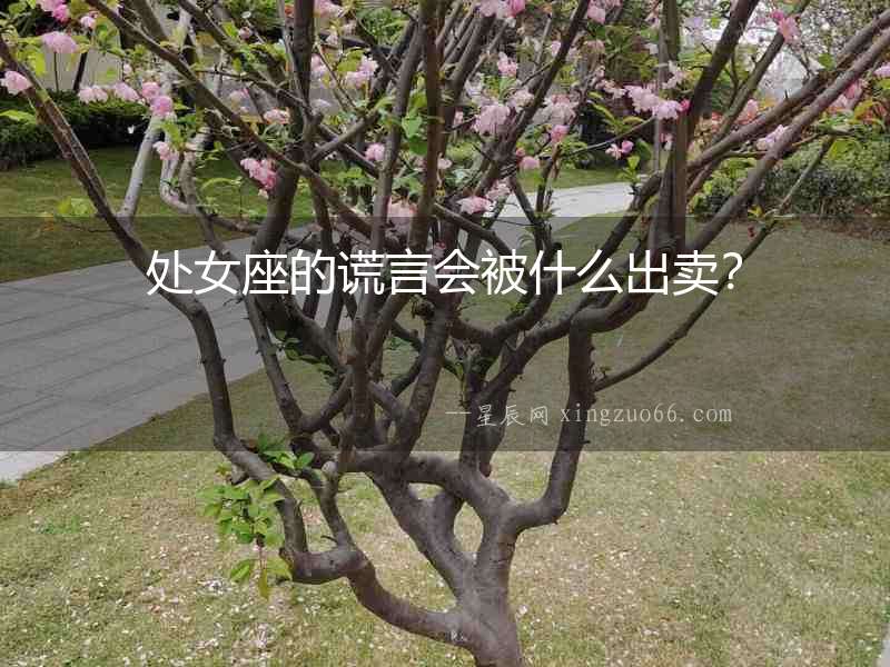 處女座的謊言會(huì)被什么出賣？