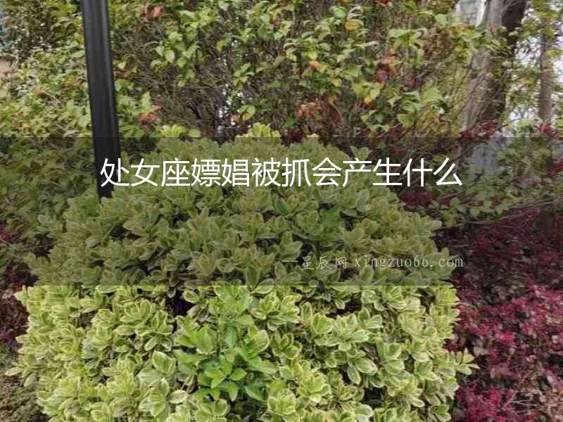 處女座嫖娼被抓會產生什么