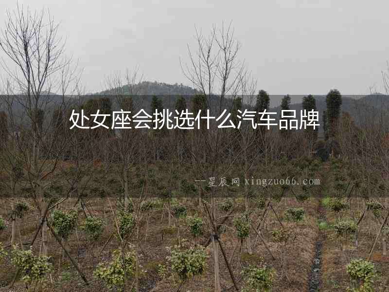 處女座會挑選什么汽車品牌