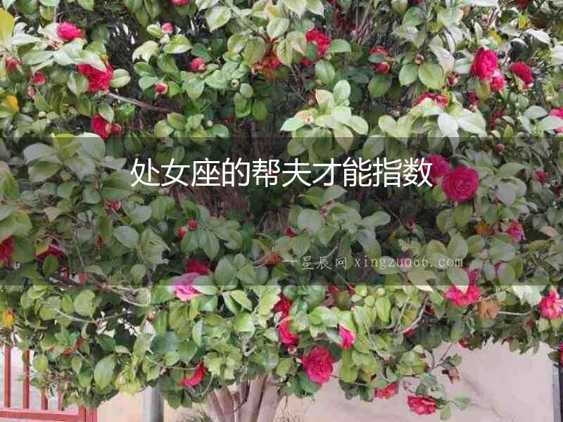 處女座的幫夫才能指數(shù)