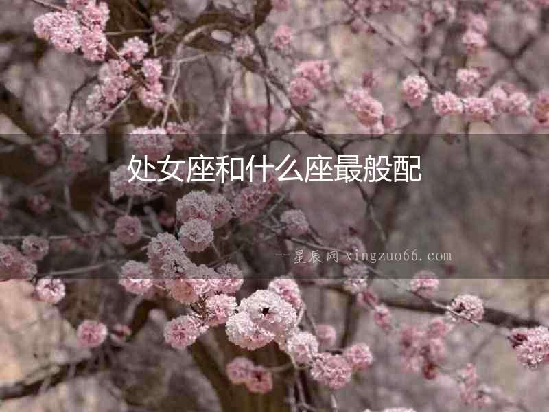 處女座和什么座最般配
