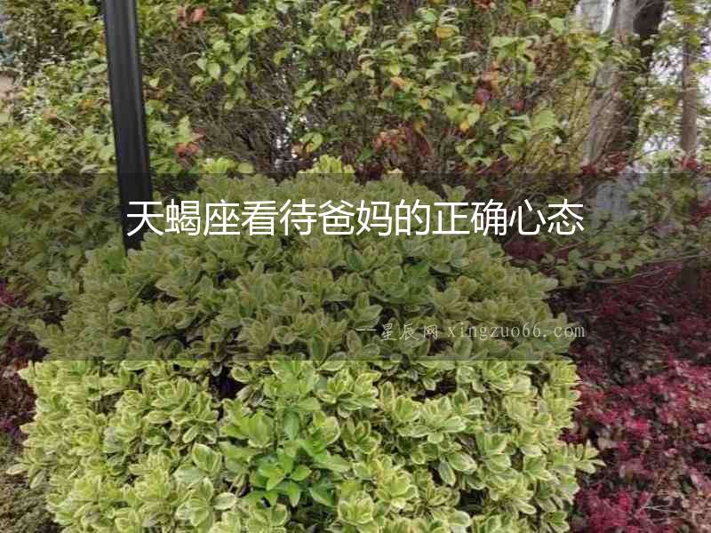 天蝎座看待爸媽的正確心態