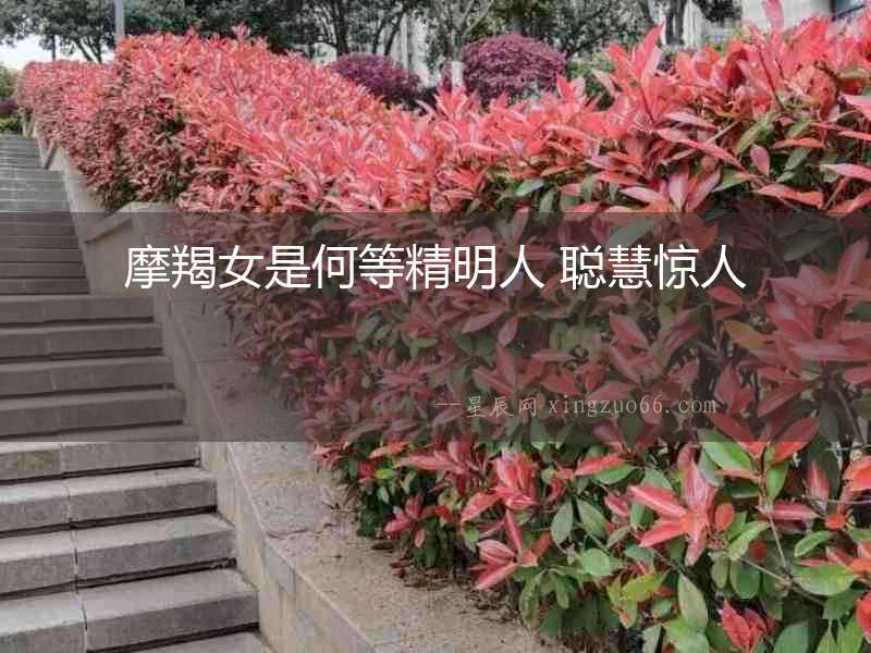 摩羯女是何等精明人 聰慧驚人