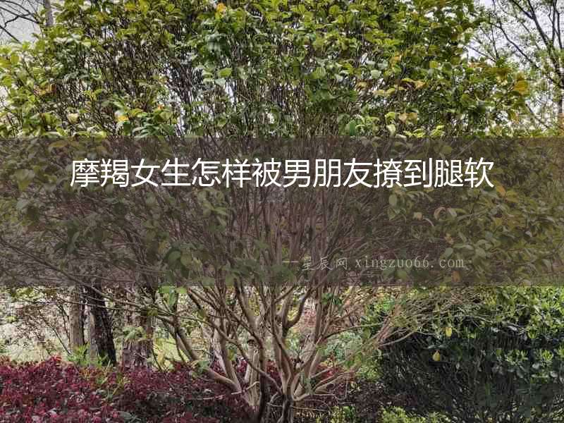 摩羯女生怎樣被男朋友撩到腿軟