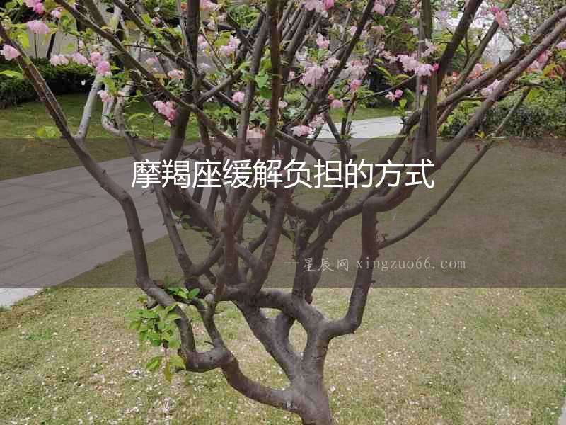 摩羯座緩解負(fù)擔(dān)的方式