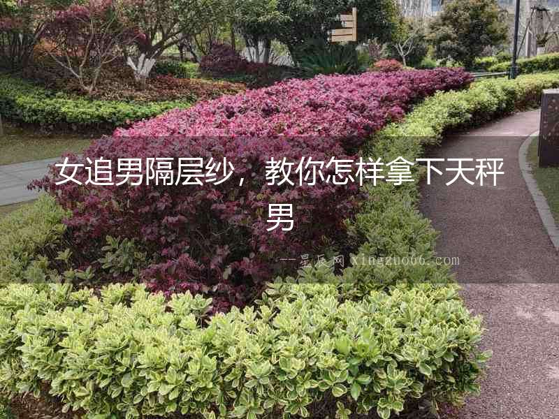 女追男隔層紗，教你怎樣拿下天秤男