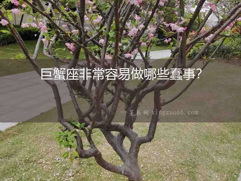 巨蟹座非常容易做哪些蠢事？