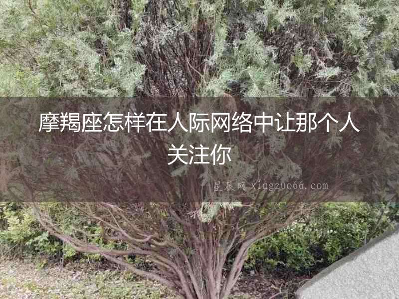 摩羯座怎樣在人際網(wǎng)絡(luò)中讓那個人關(guān)注你