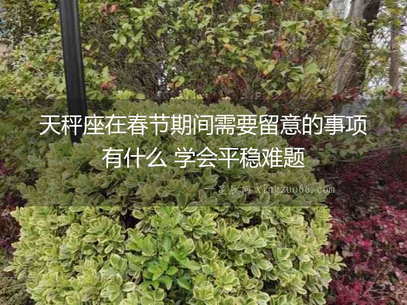 天秤座在春節(jié)期間需要留意的事項(xiàng)有什么 學(xué)會(huì)平穩(wěn)難題