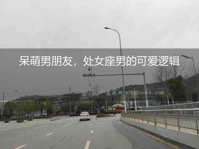 呆萌男朋友，處女座男的可愛邏輯
