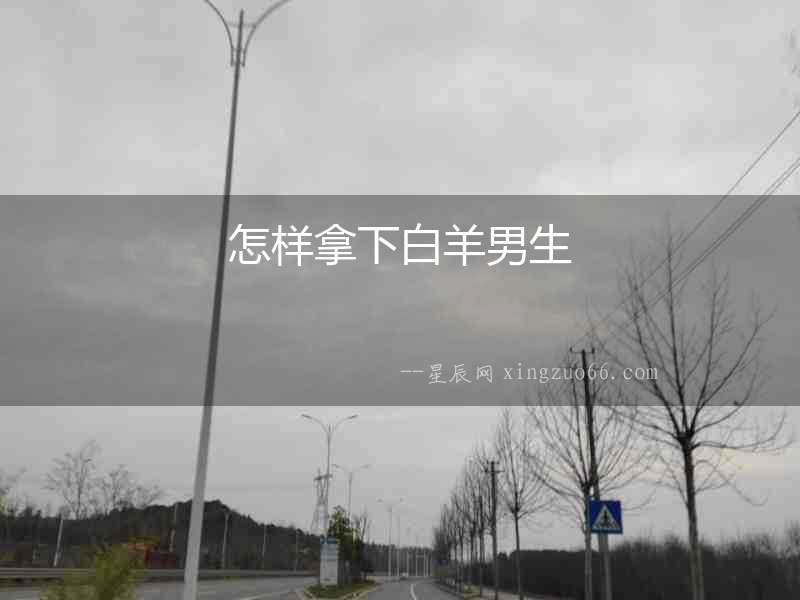 怎樣拿下白羊男生