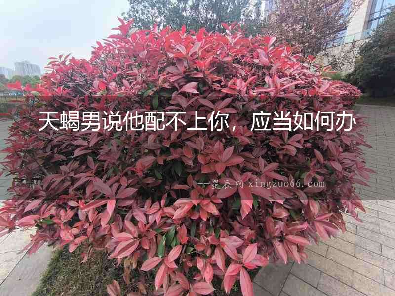 天蝎男說他配不上你，應當如何辦
