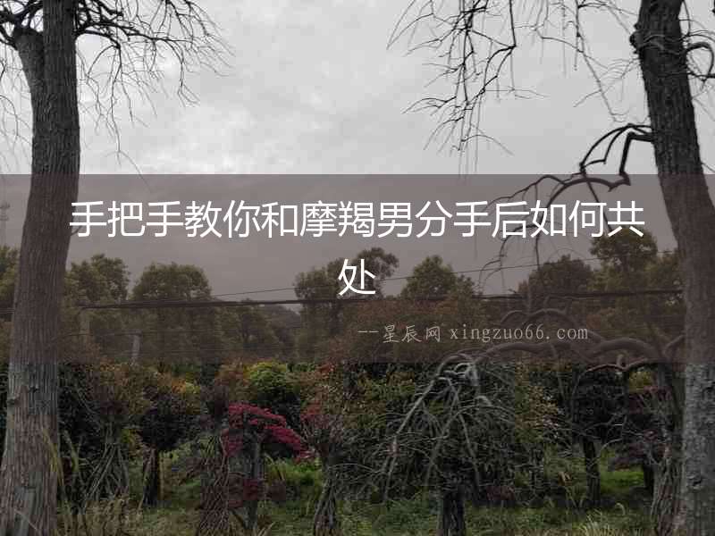 手把手教你和摩羯男分手后如何共處