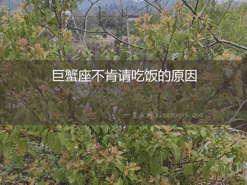 巨蟹座不肯請吃飯的原因