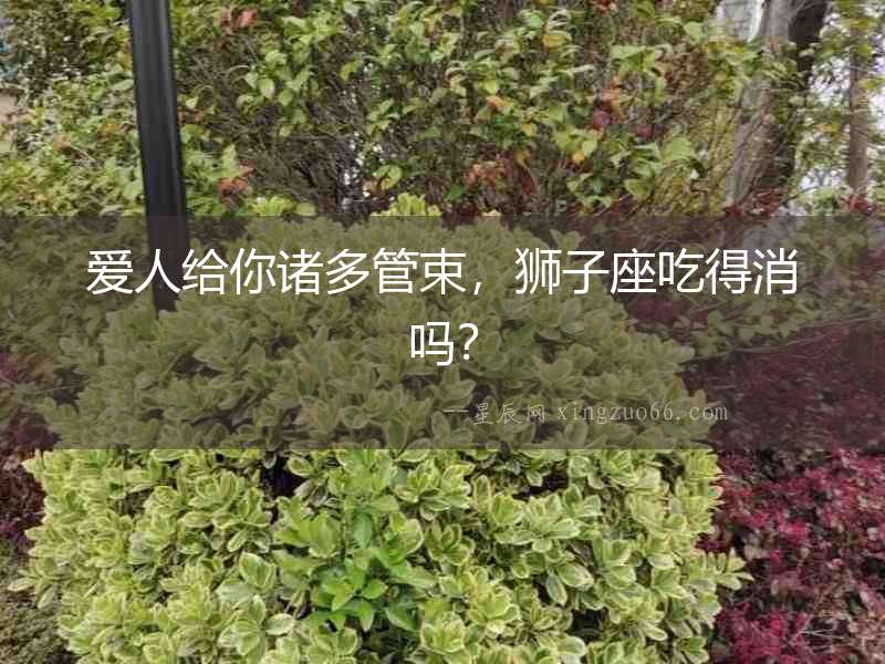 愛人給你諸多管束，獅子座吃得消嗎？